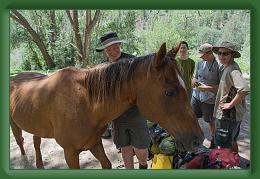 Philmont--Crew-3 (197) * 2000 x 1333 * (751KB)